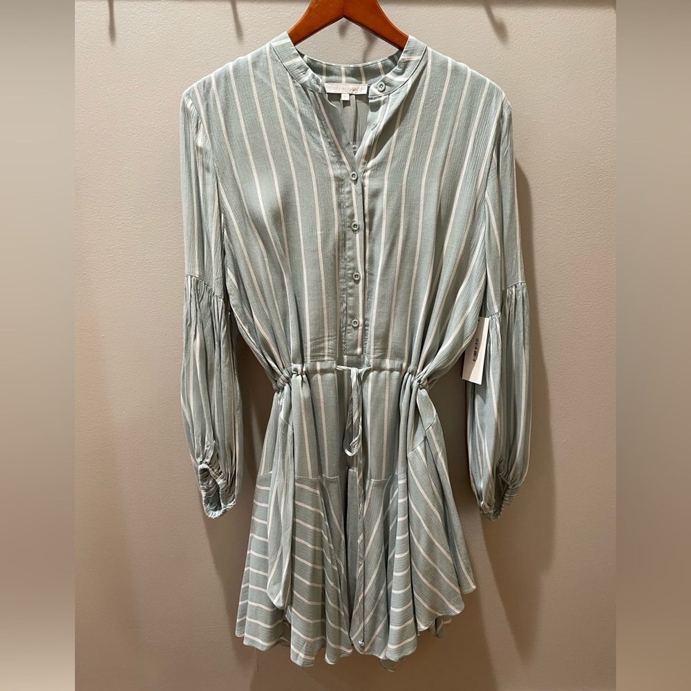 Cinch Waist Dress